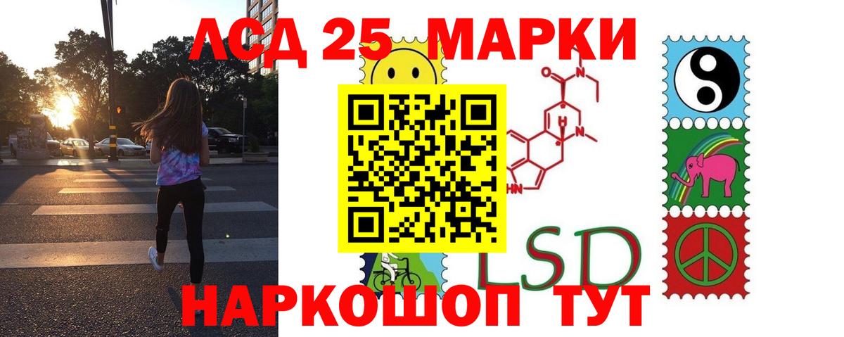 МЕФ Королёв